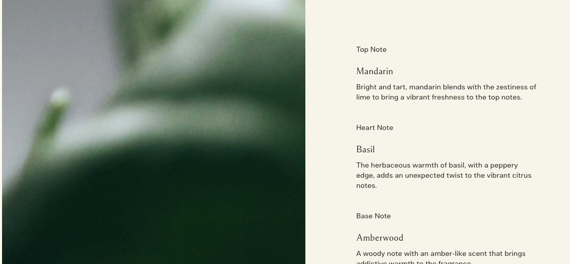 Jo Malone London scent notes breakdown showing mandarin top note, basil heart note and amberwood base note